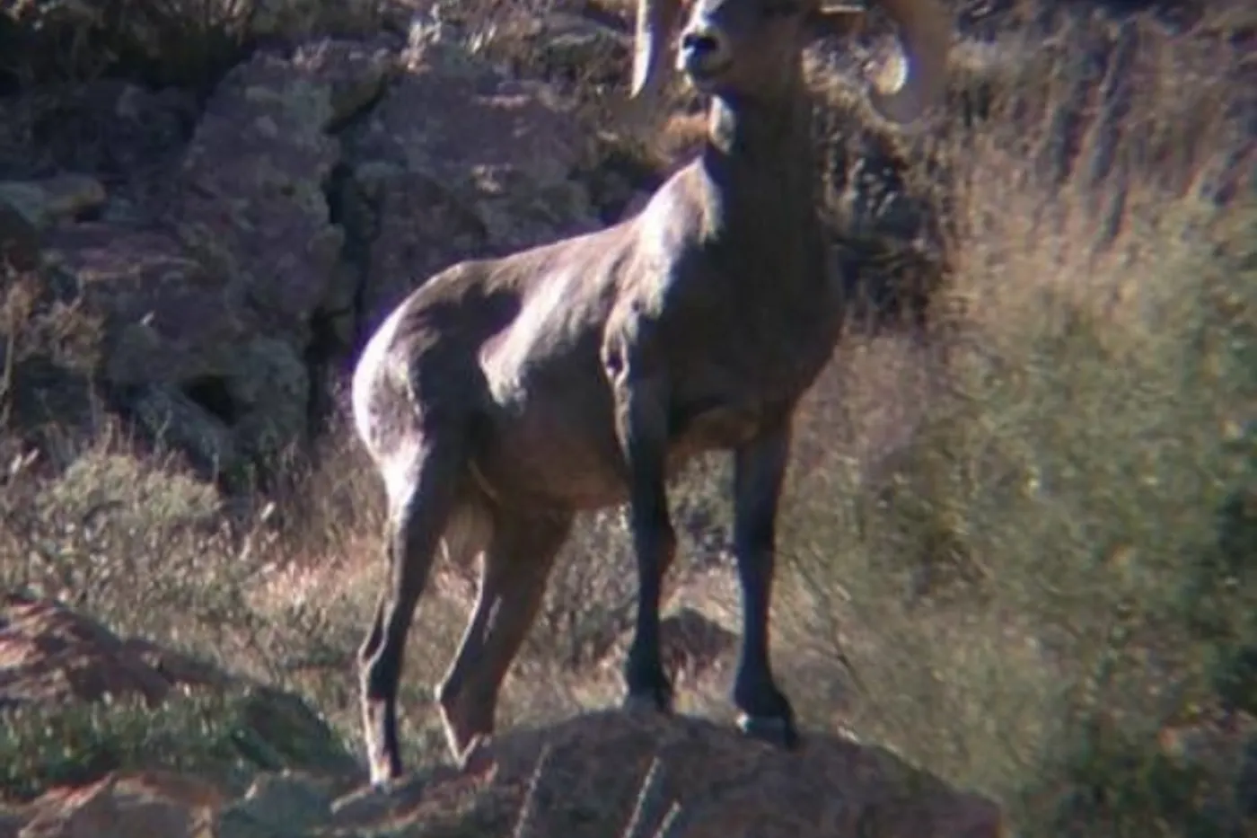 image two