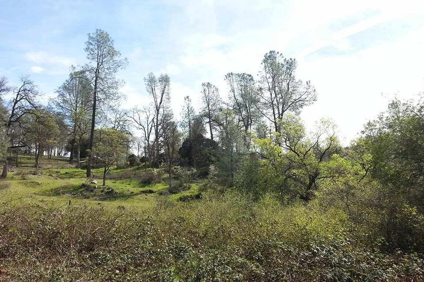 image two