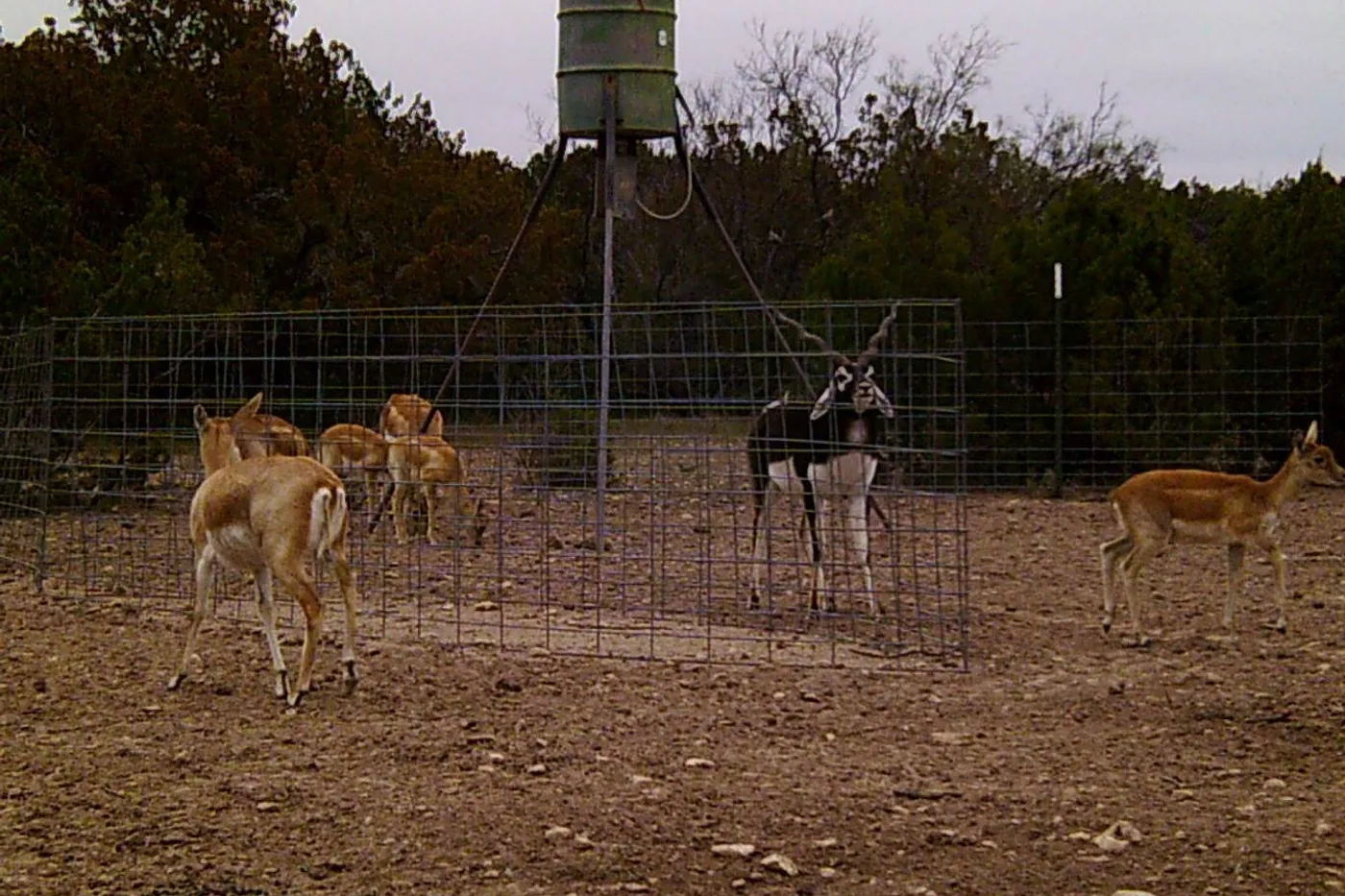 image two
