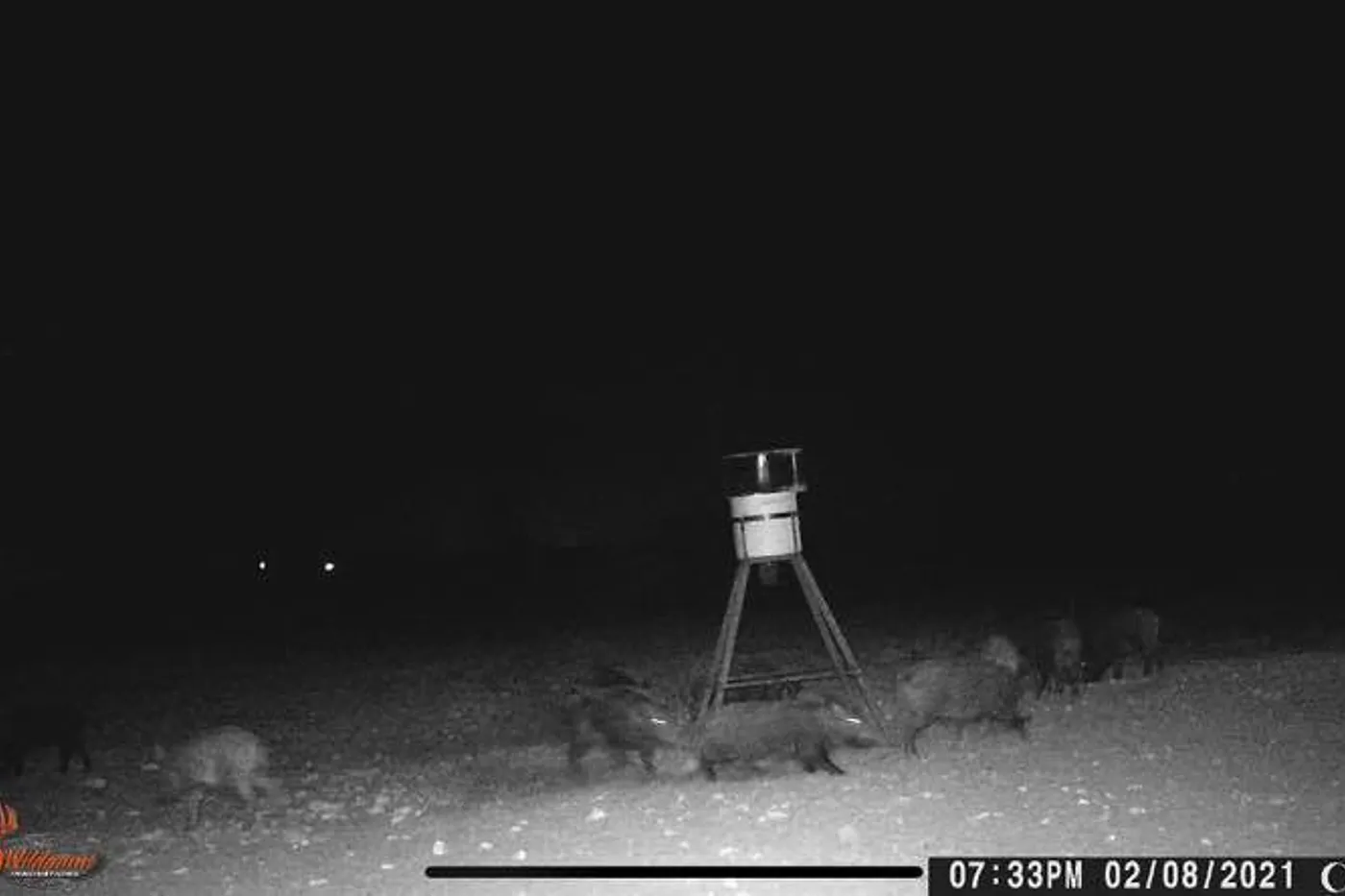 image two