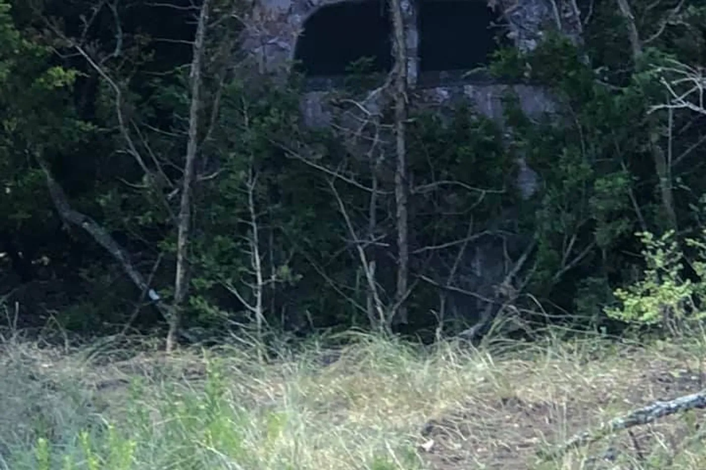 image two