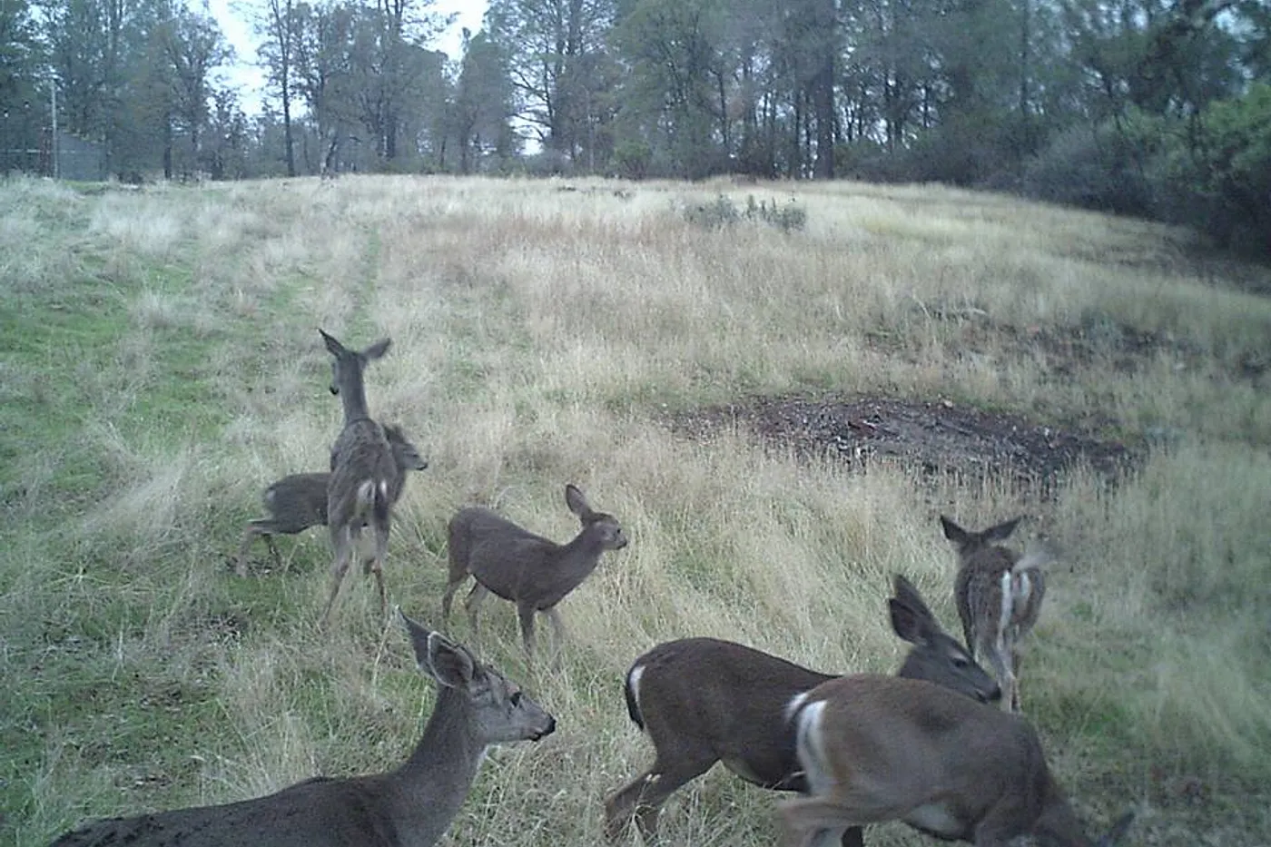 image four