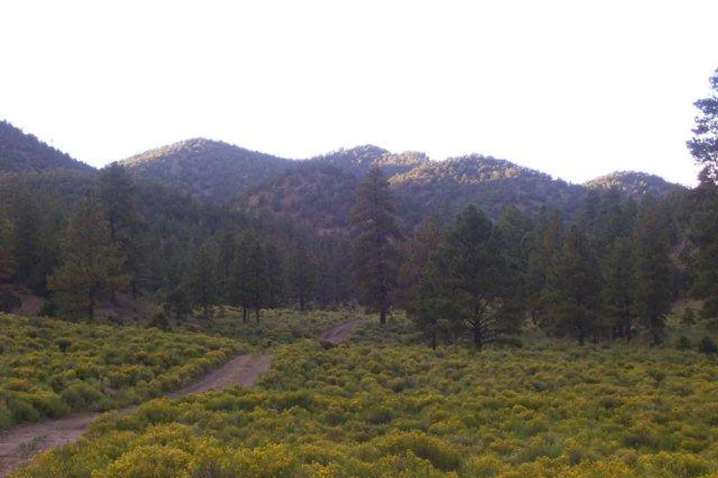 image four