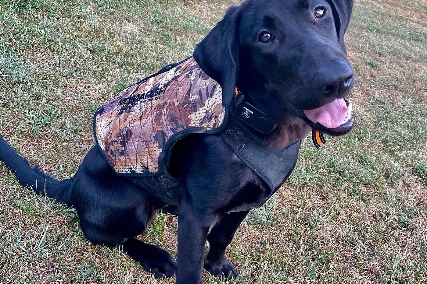 image two
