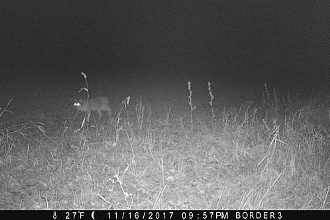 image four