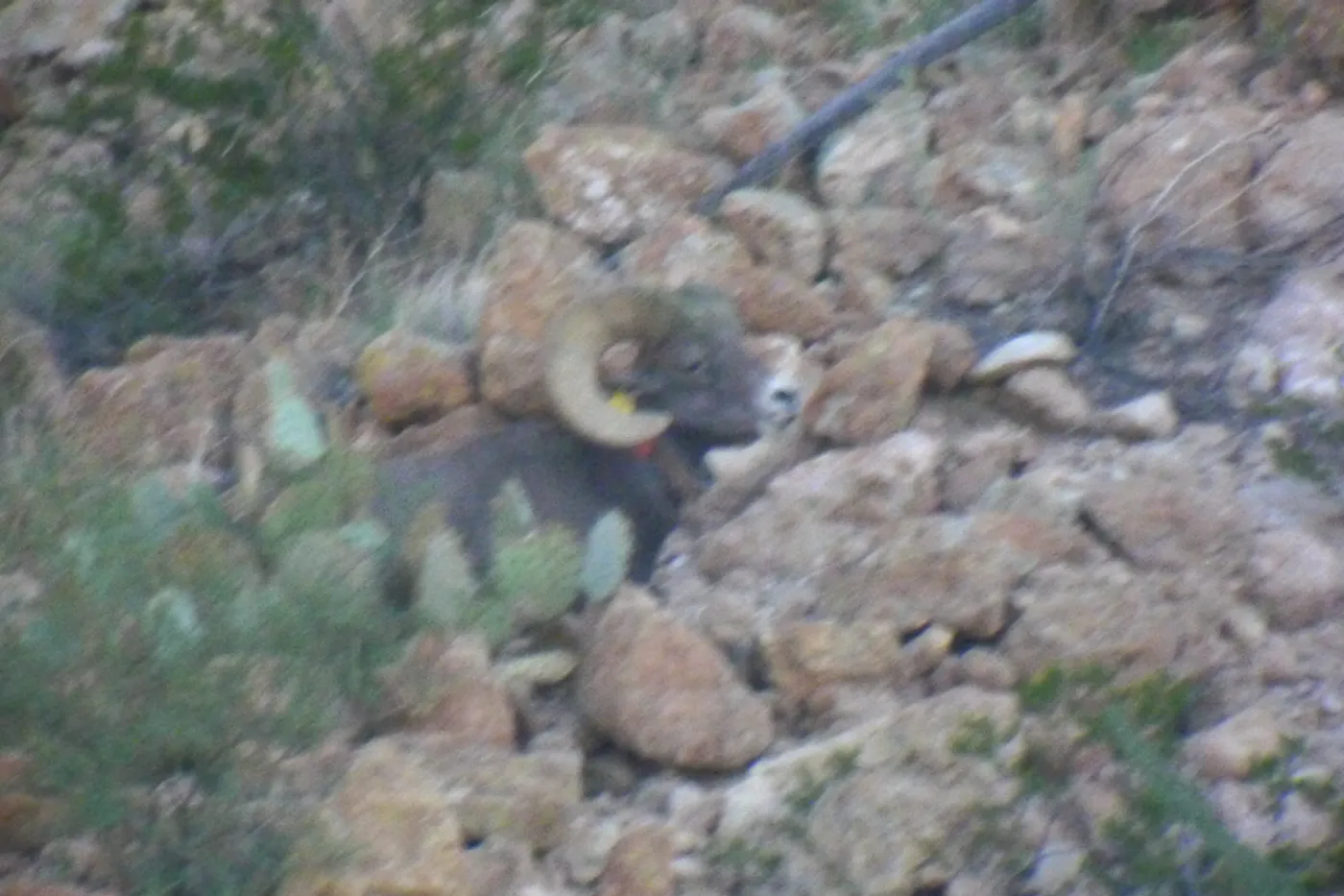 image three