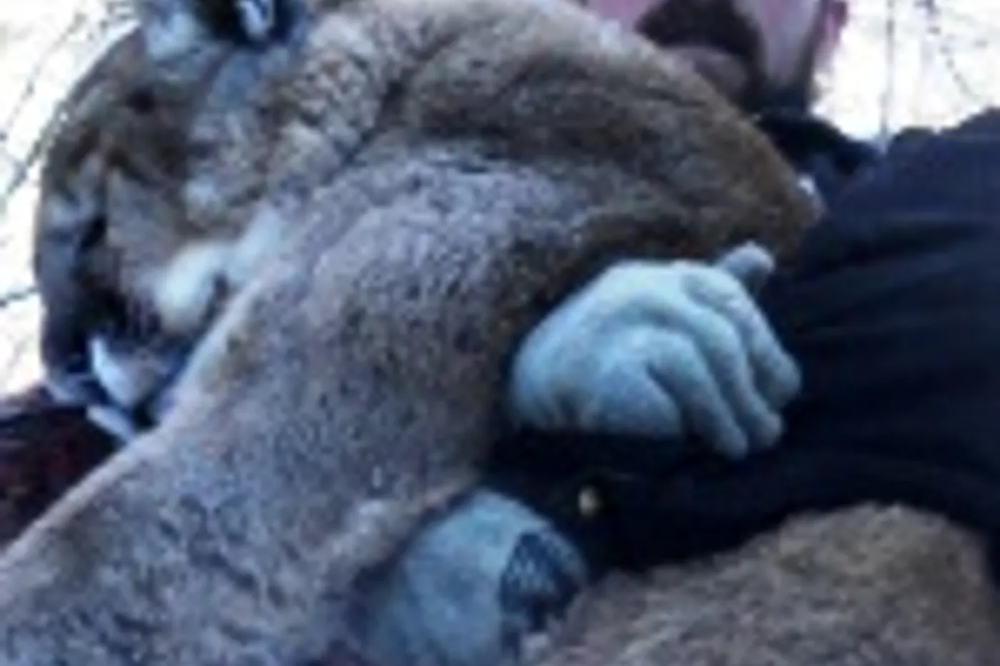 image four