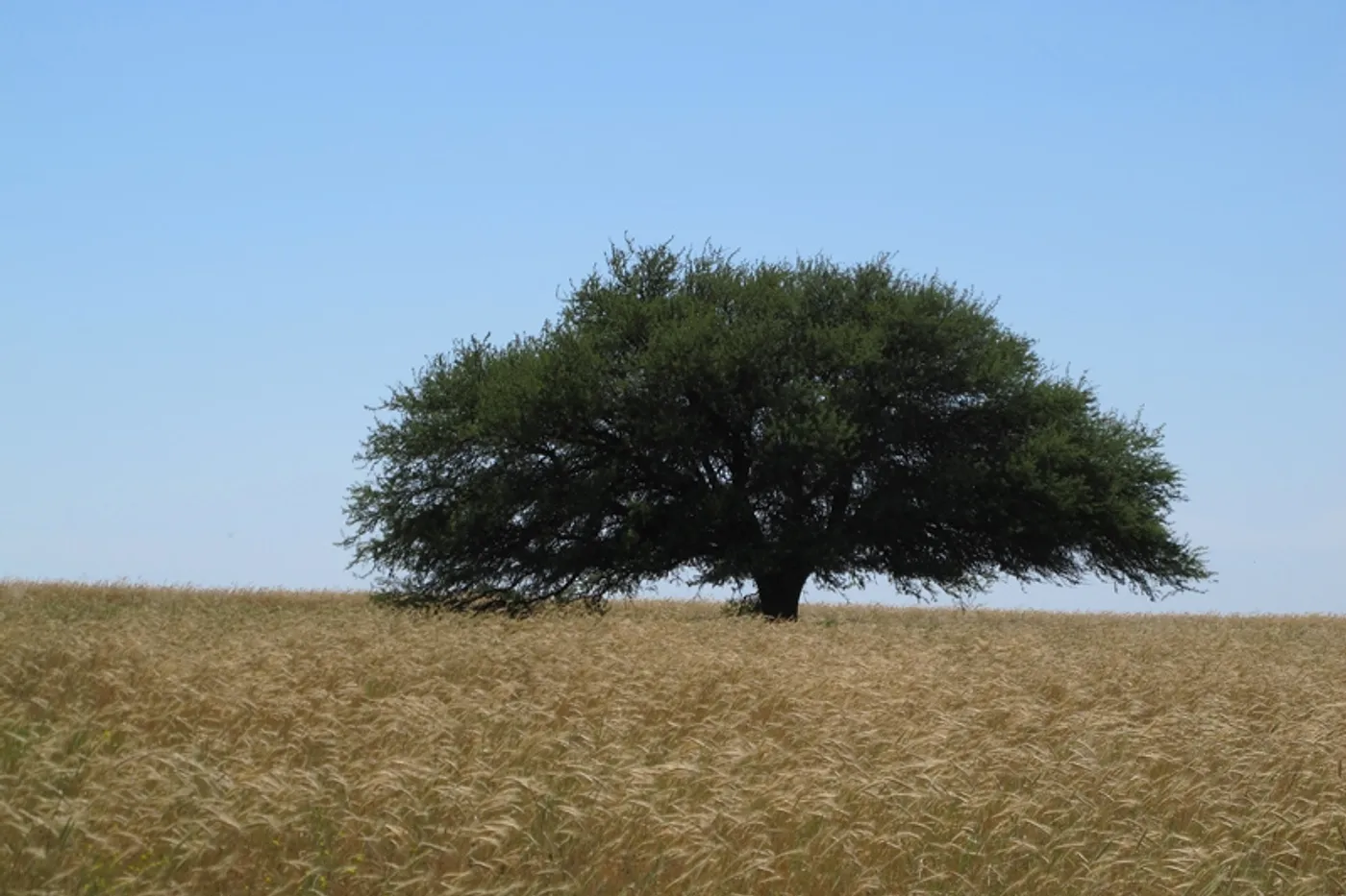 image two