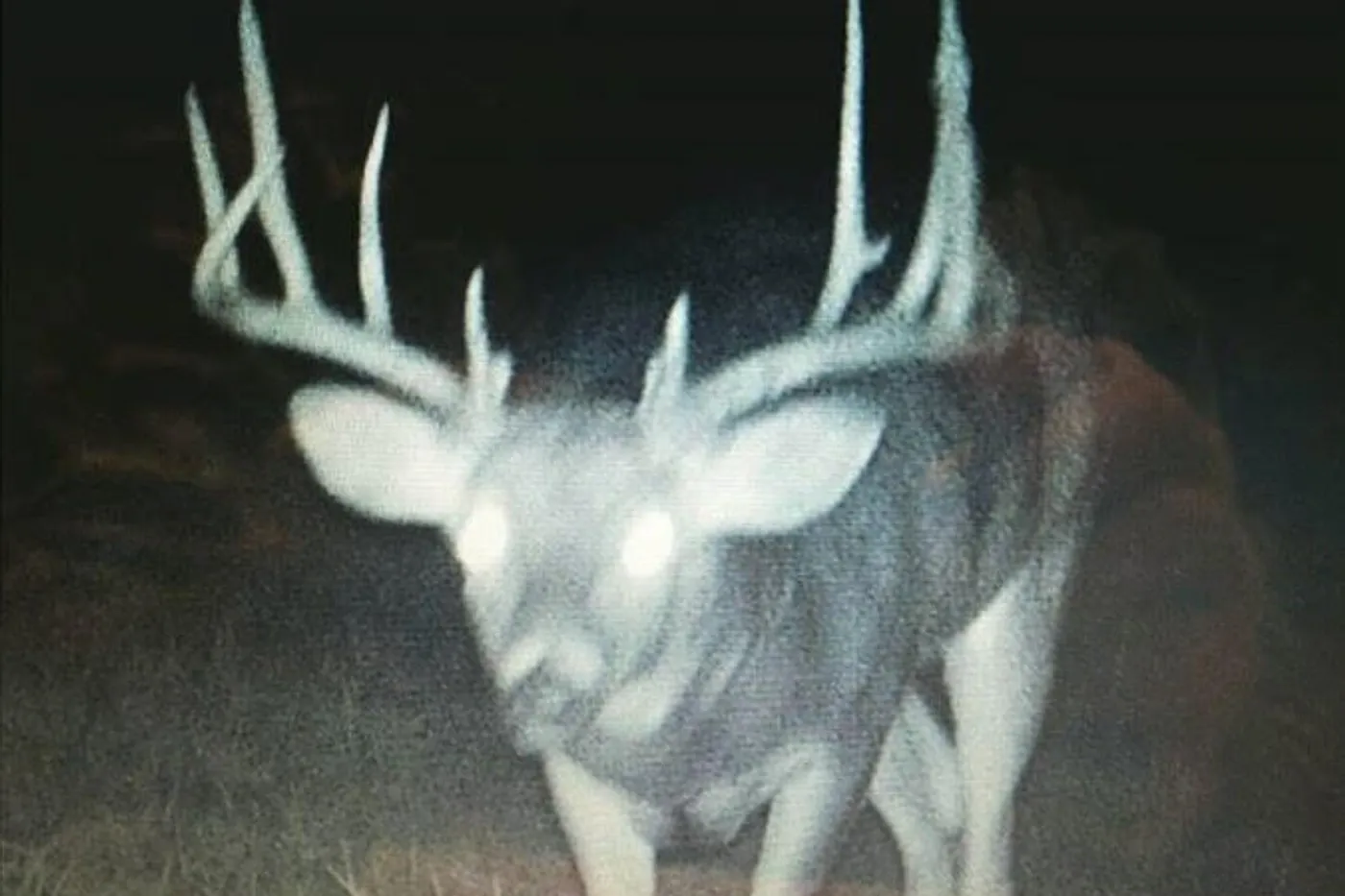 image two