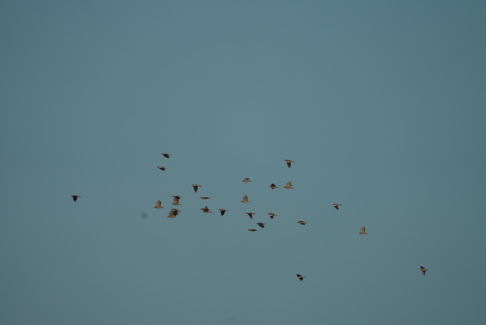 image 27