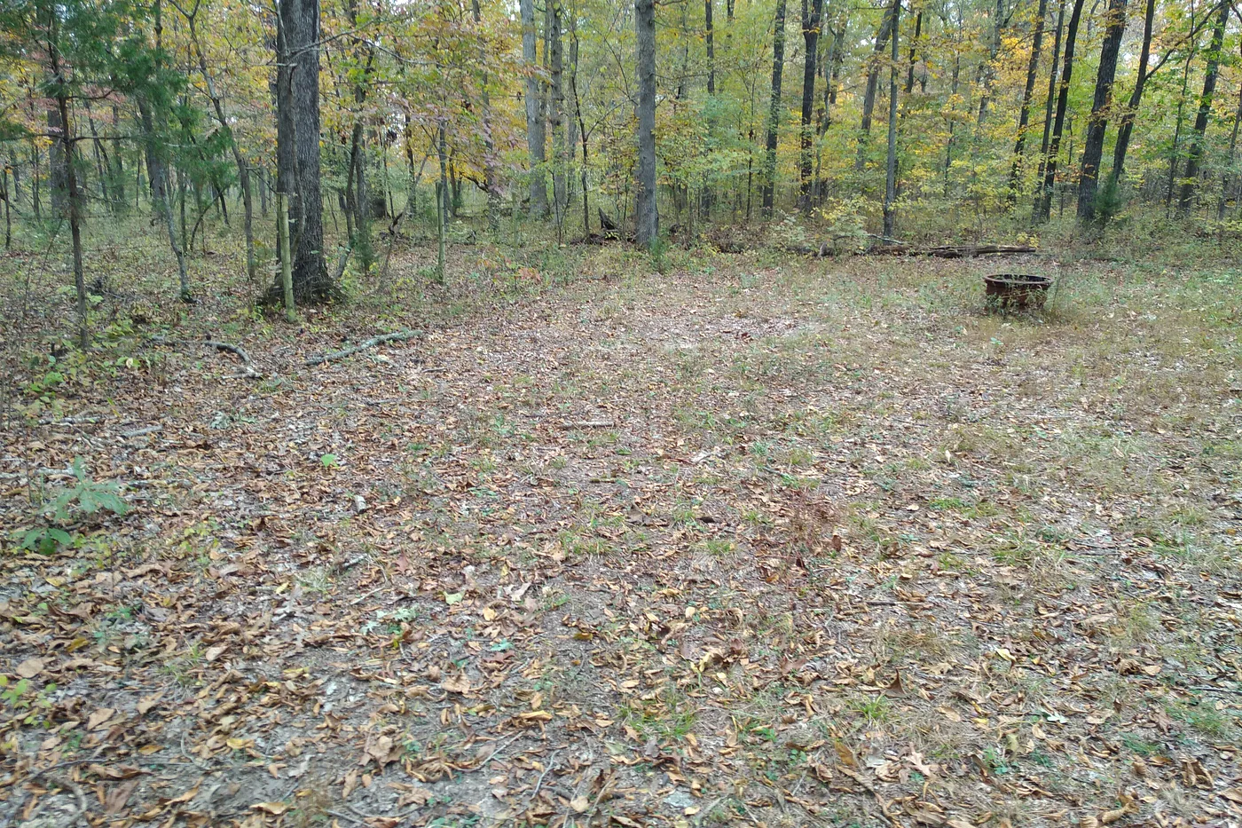 image three