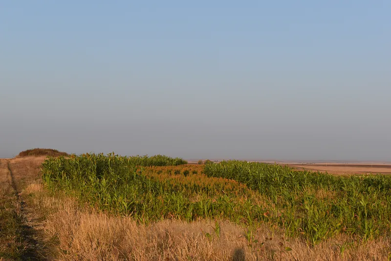 image 18