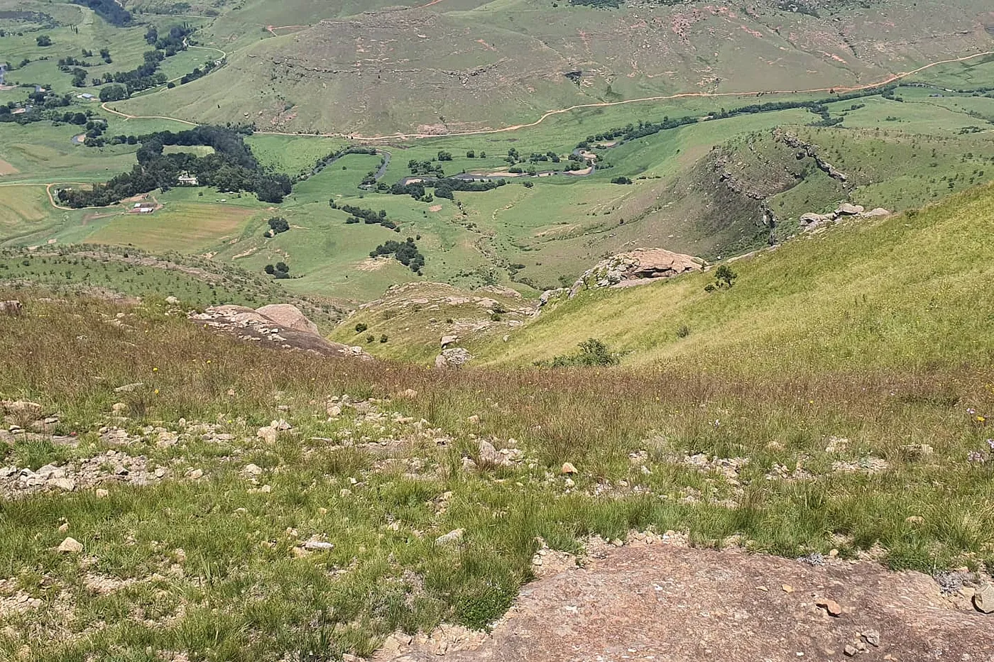 image four