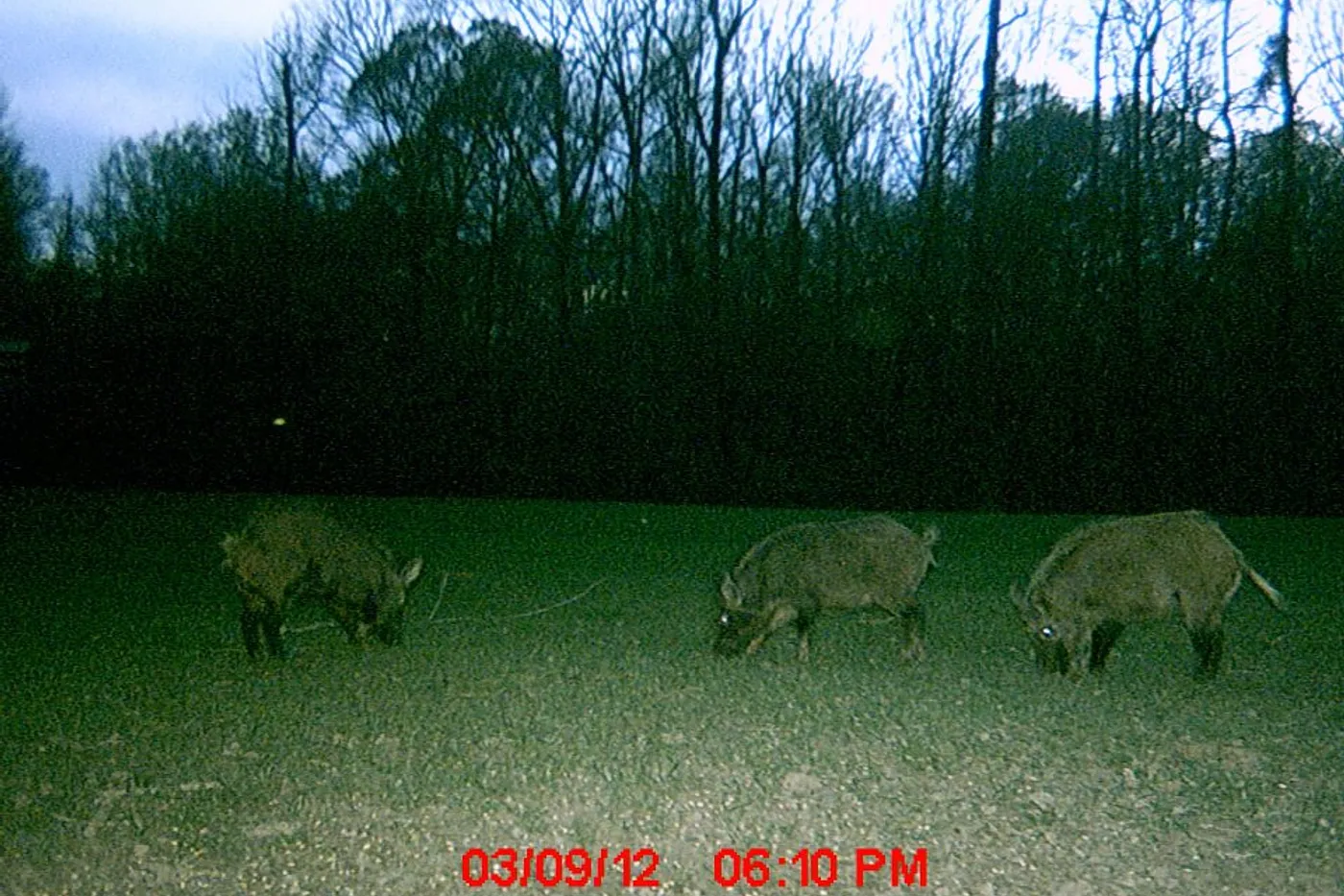 image two