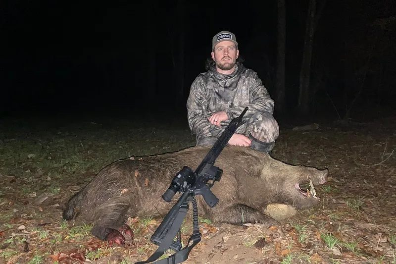 image 17