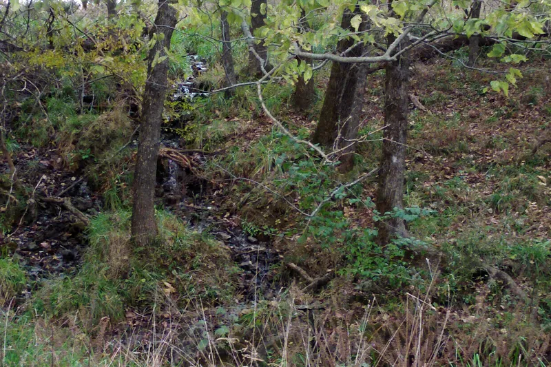 image 14