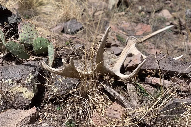 image 13
