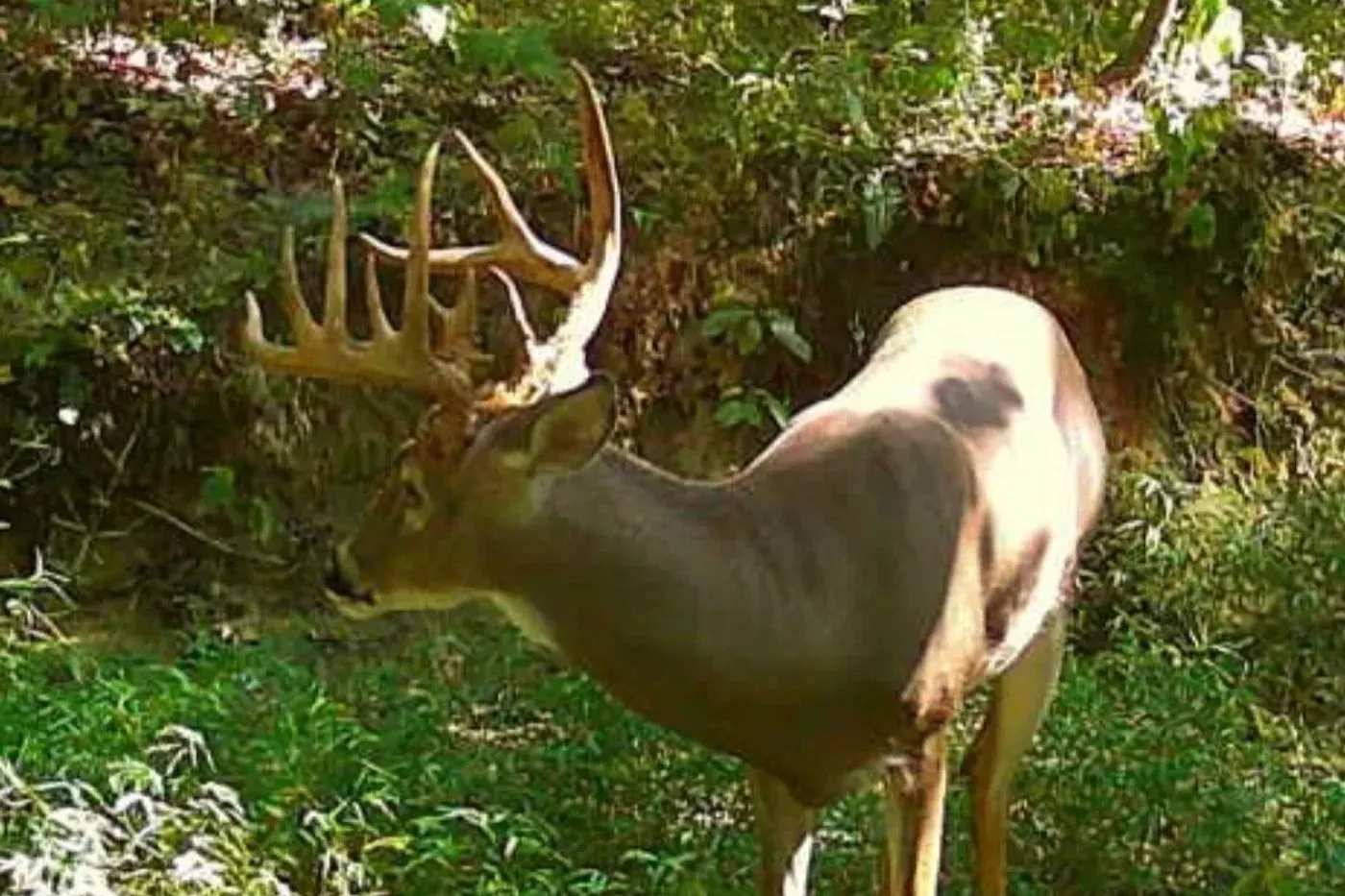 image two