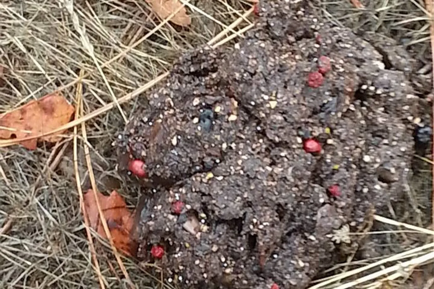 image three