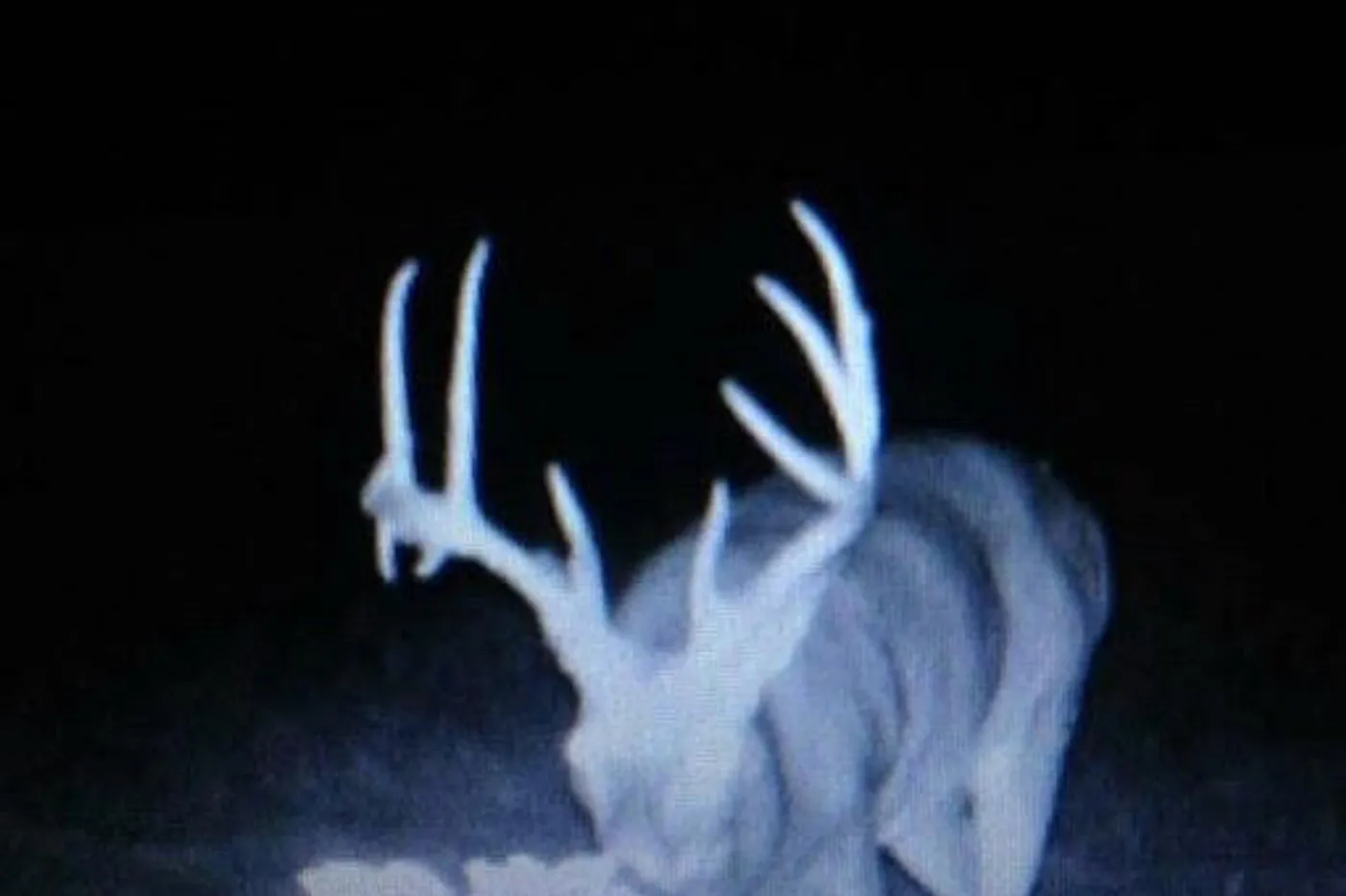 image one