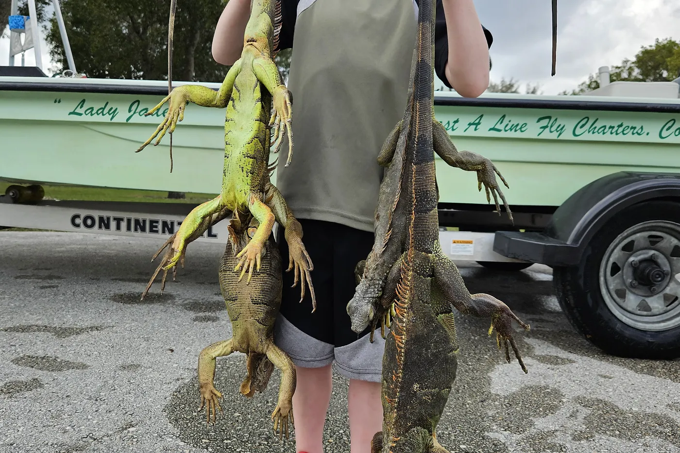 image four