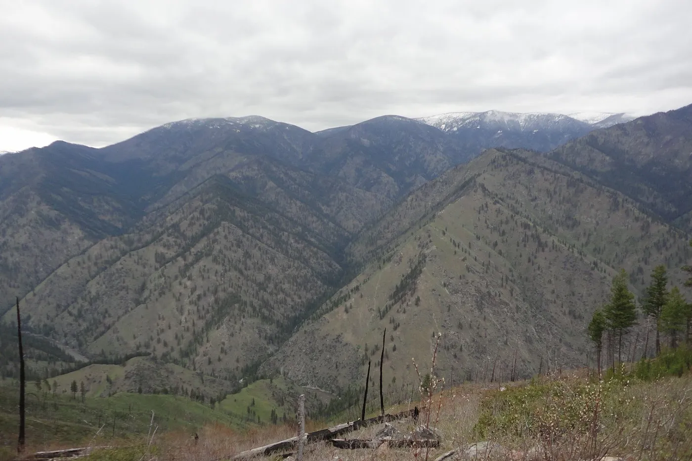 image two