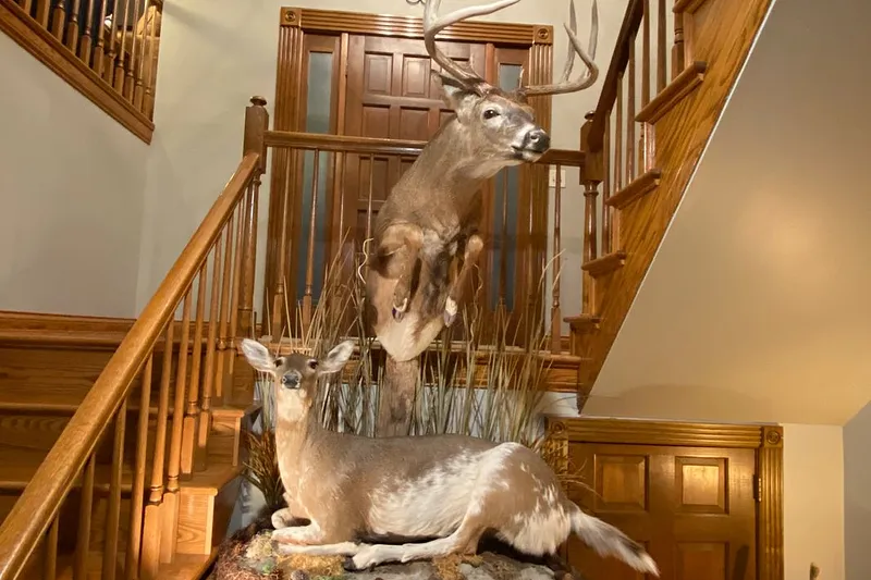 image 14