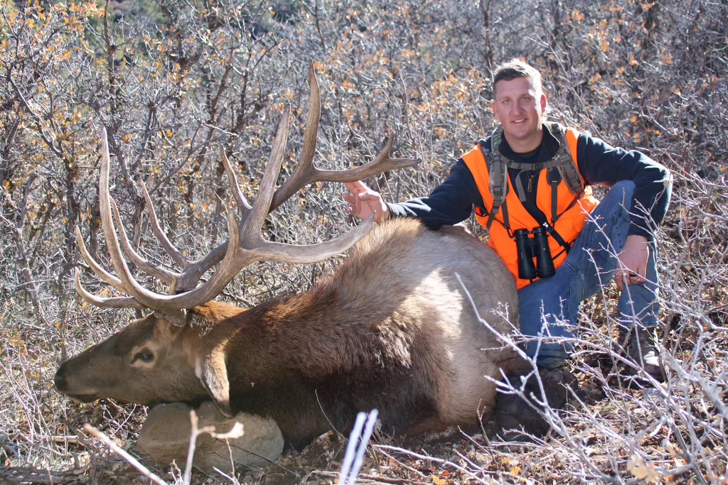 Western Colorado Private Land Elk Hunt Hotchkiss