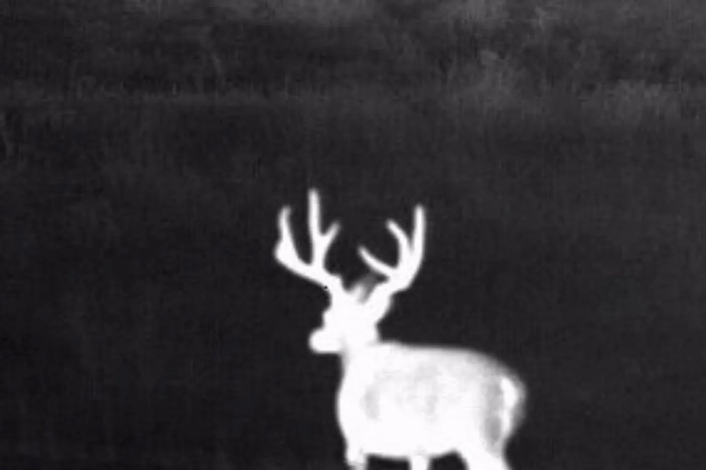 image three
