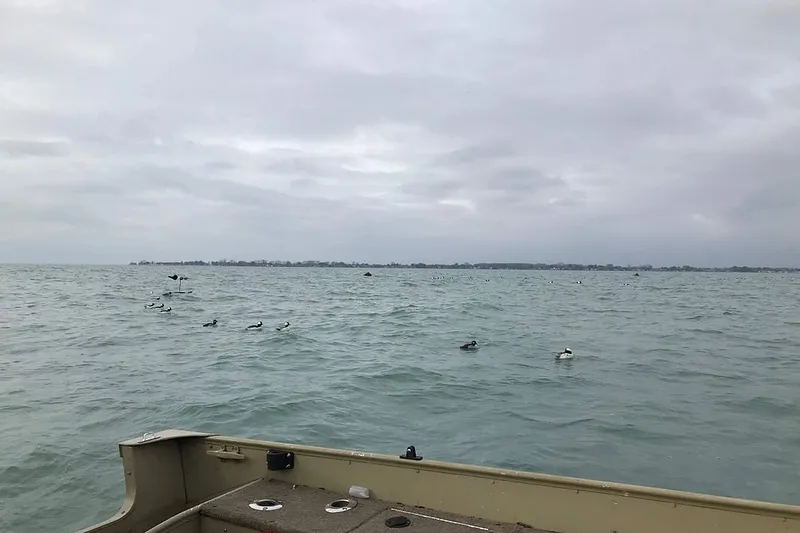 image 14
