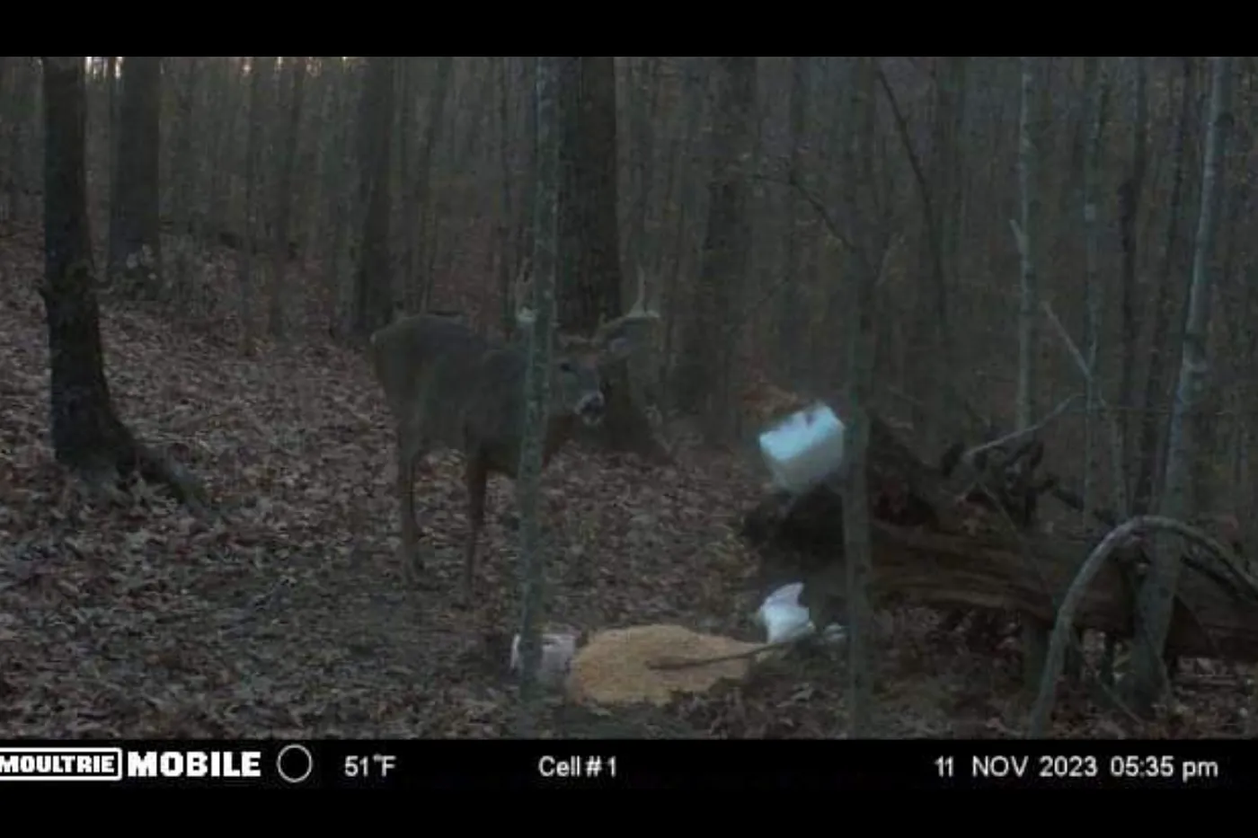 image two
