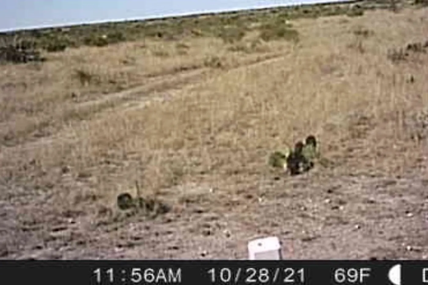 image three