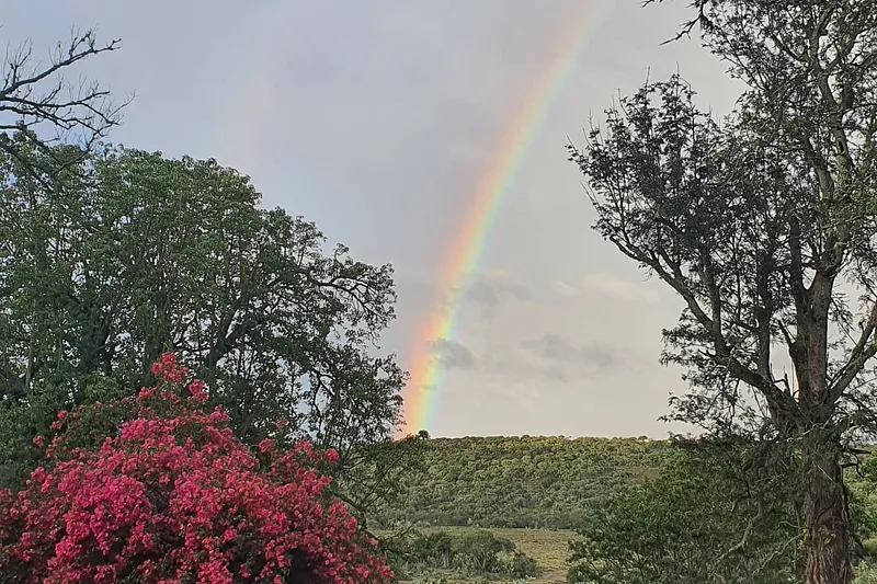 image 23