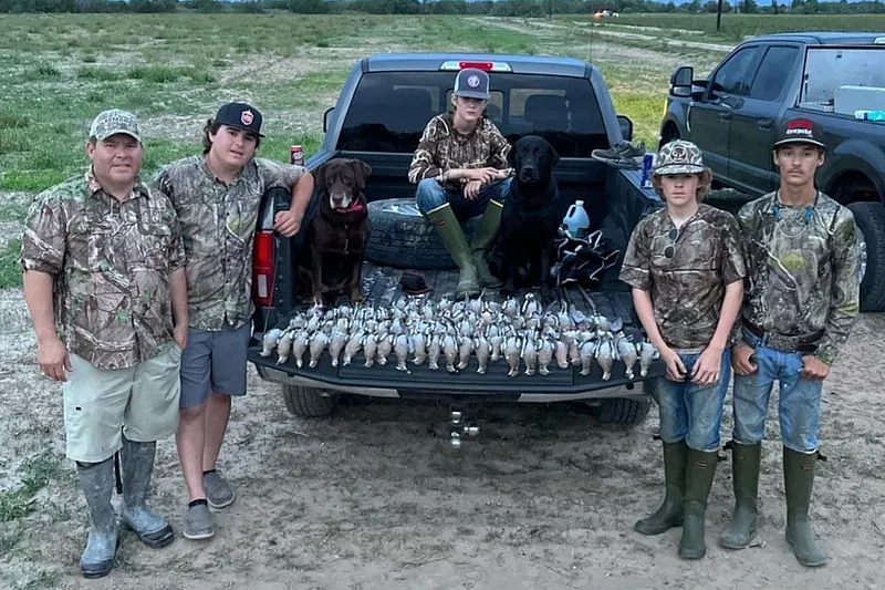 image 21