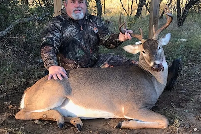 image 17