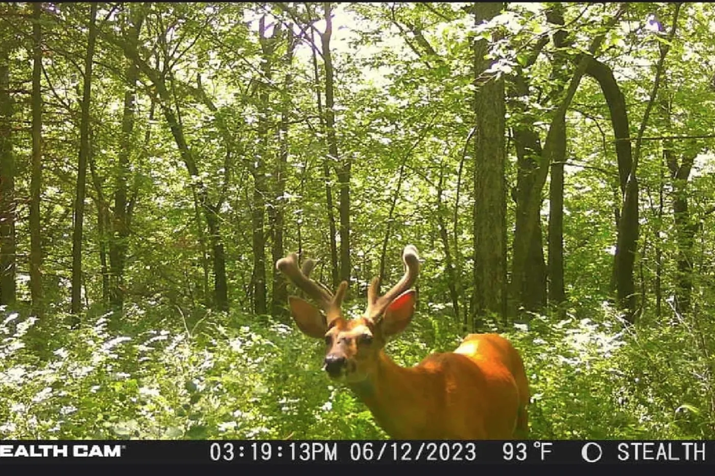 image two