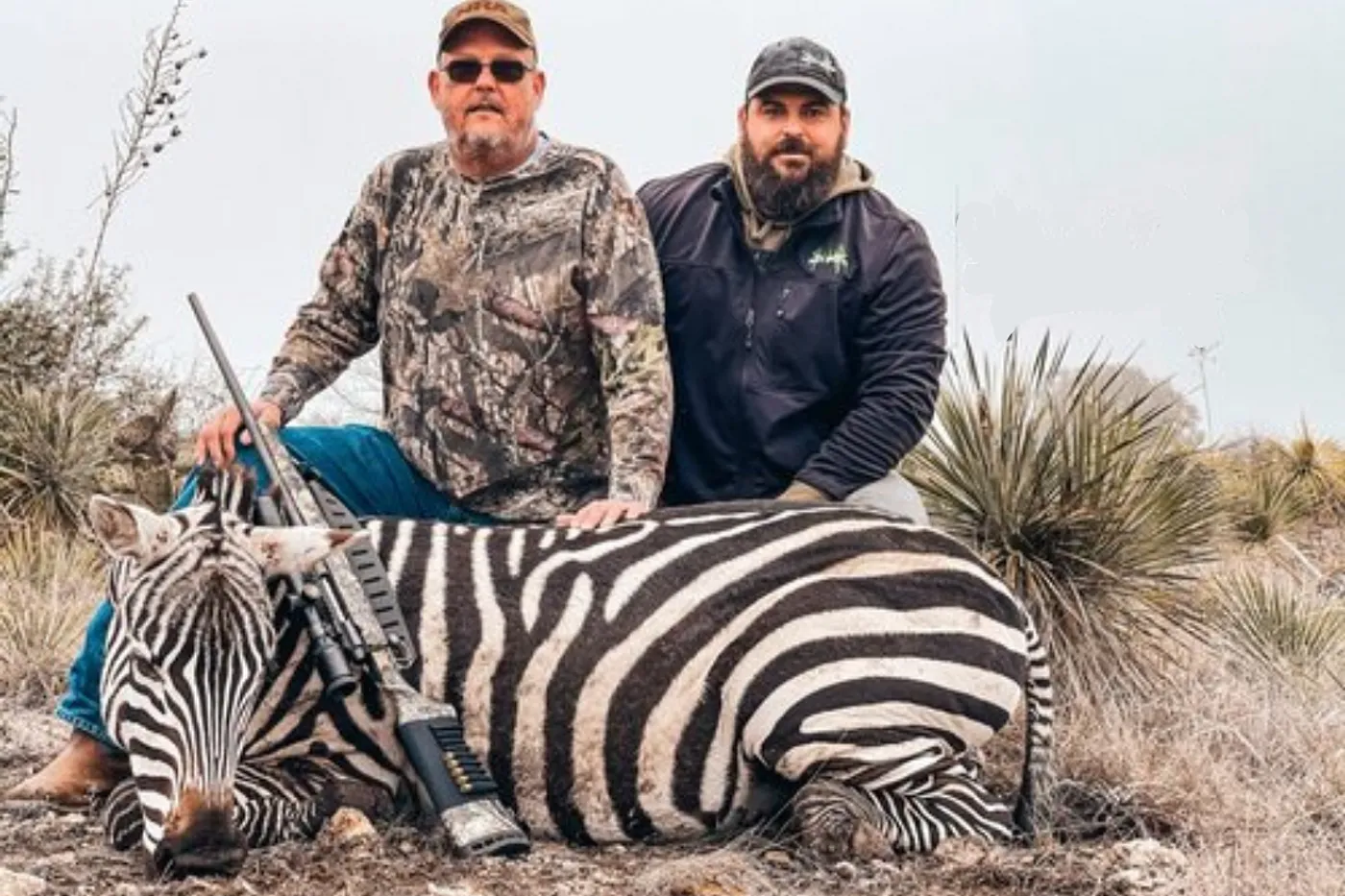 image one