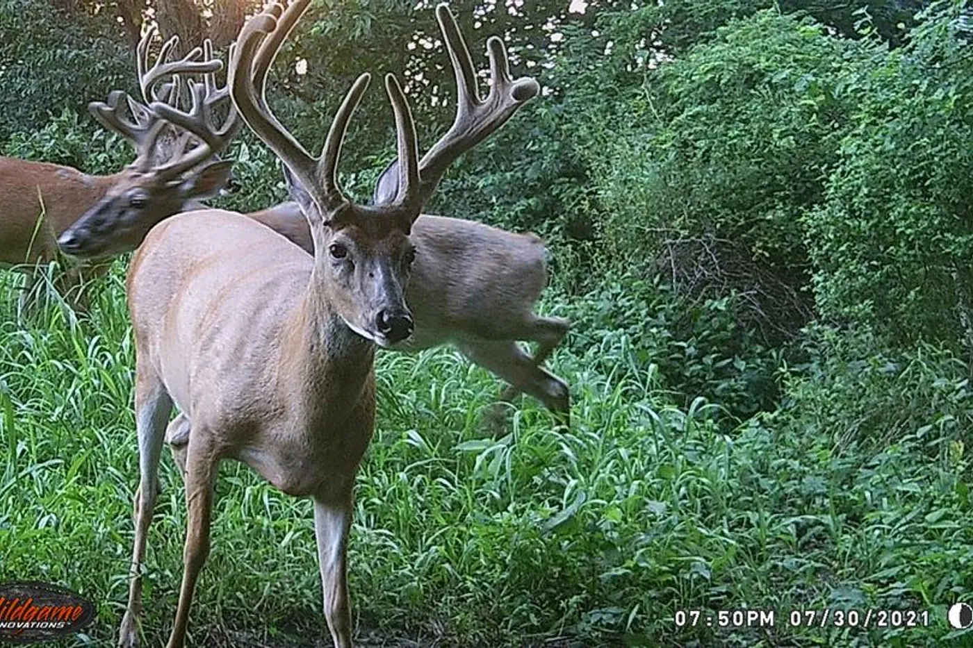 image two