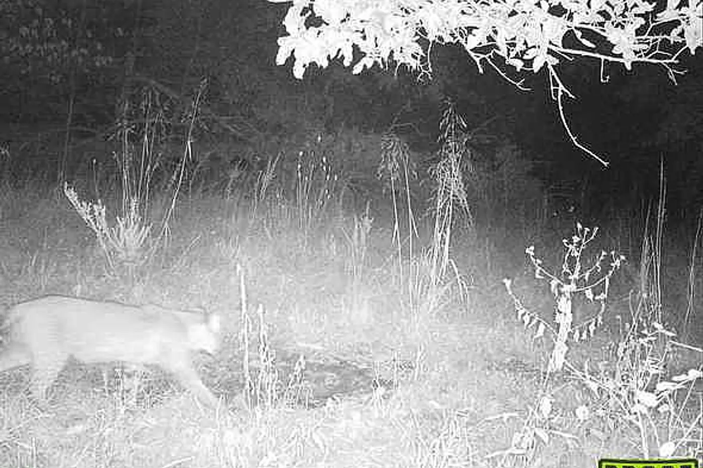 image two