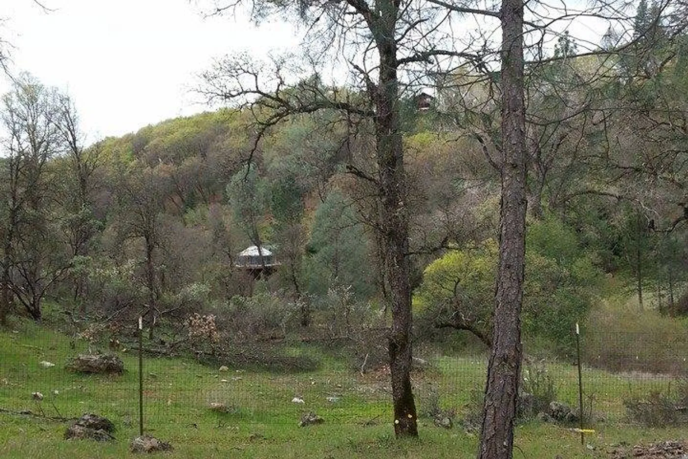 image four