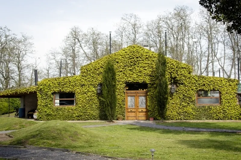 image 26