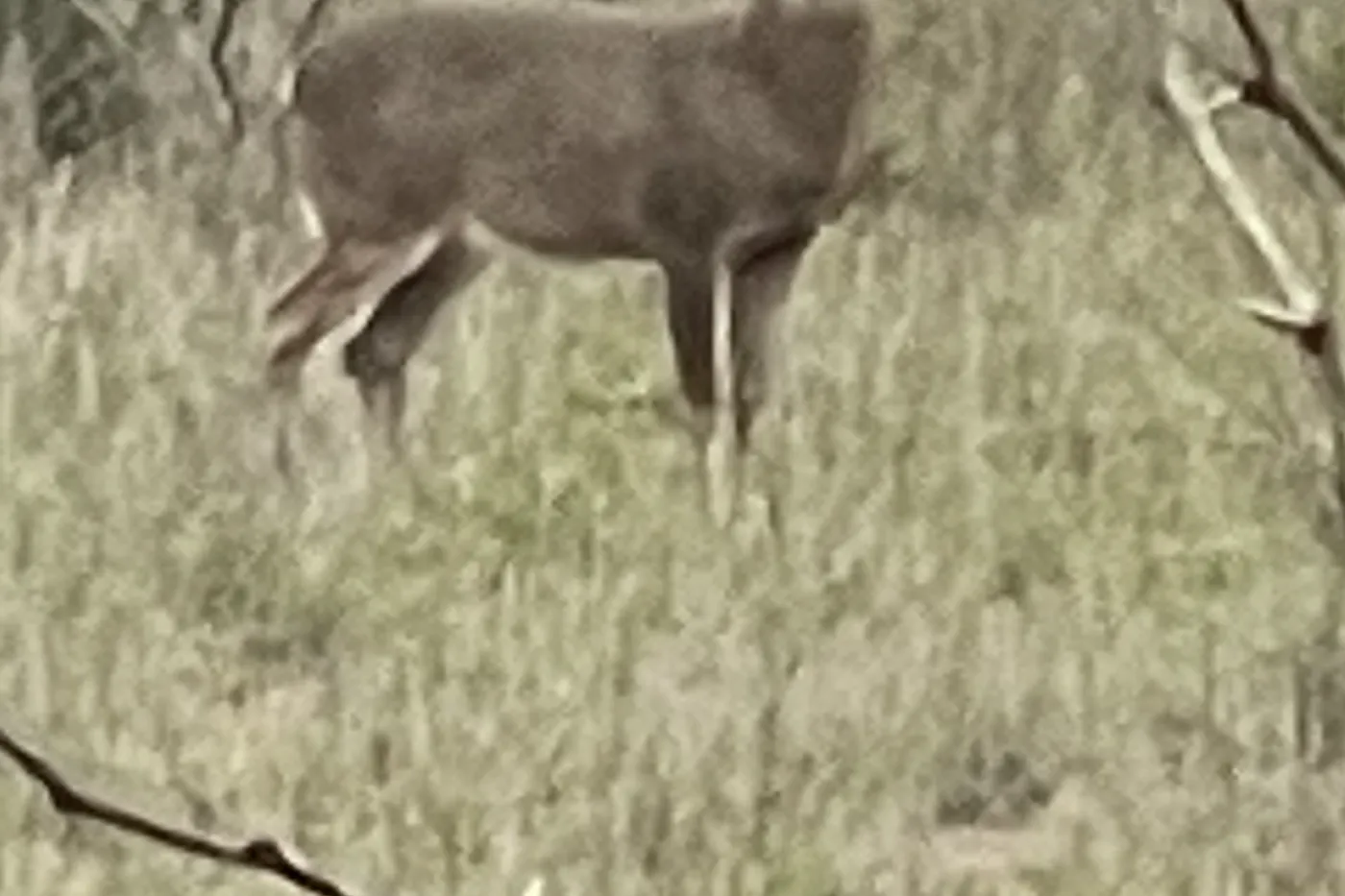 image two