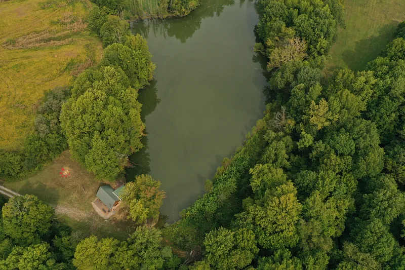 image 41