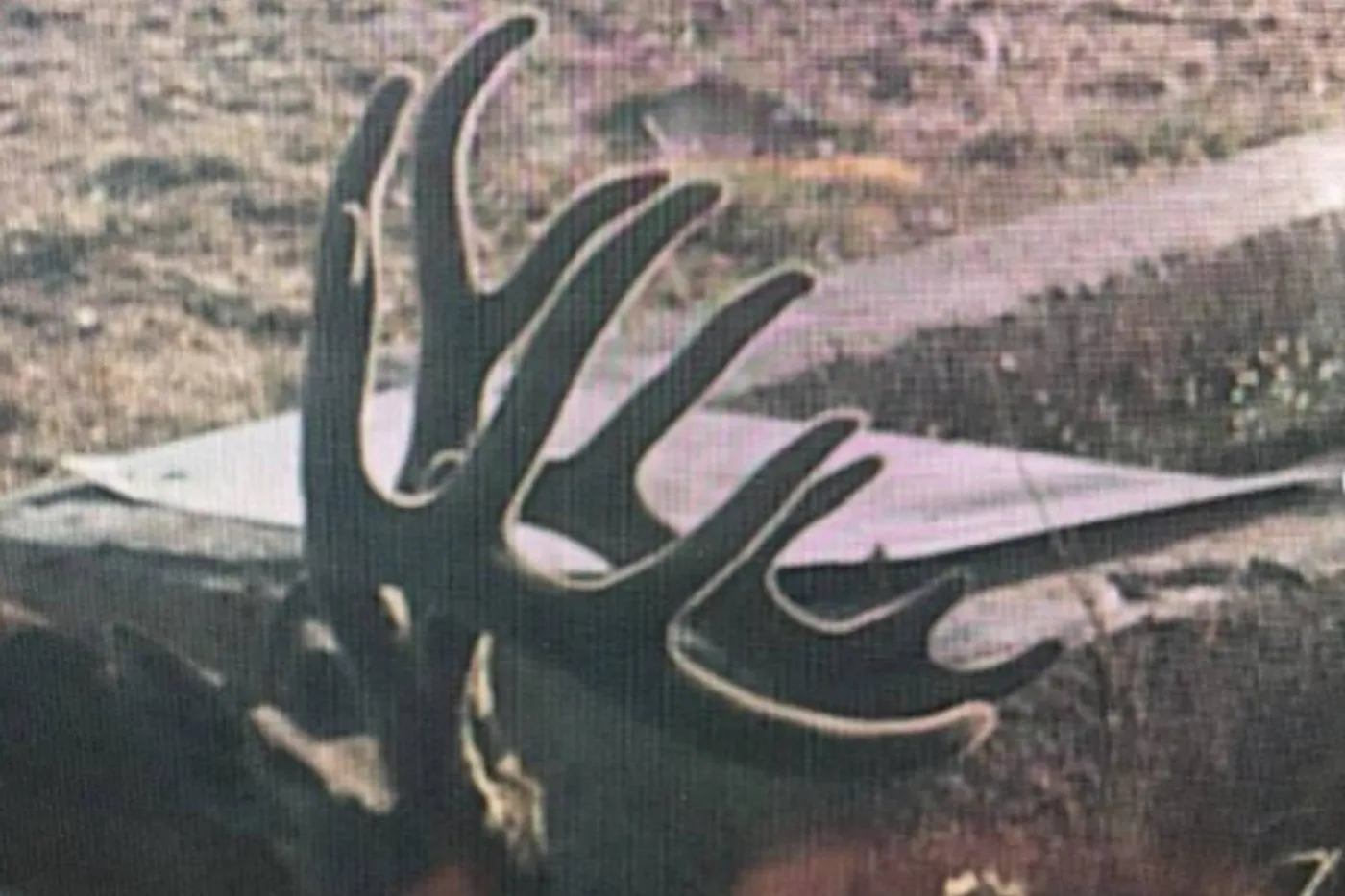 image two