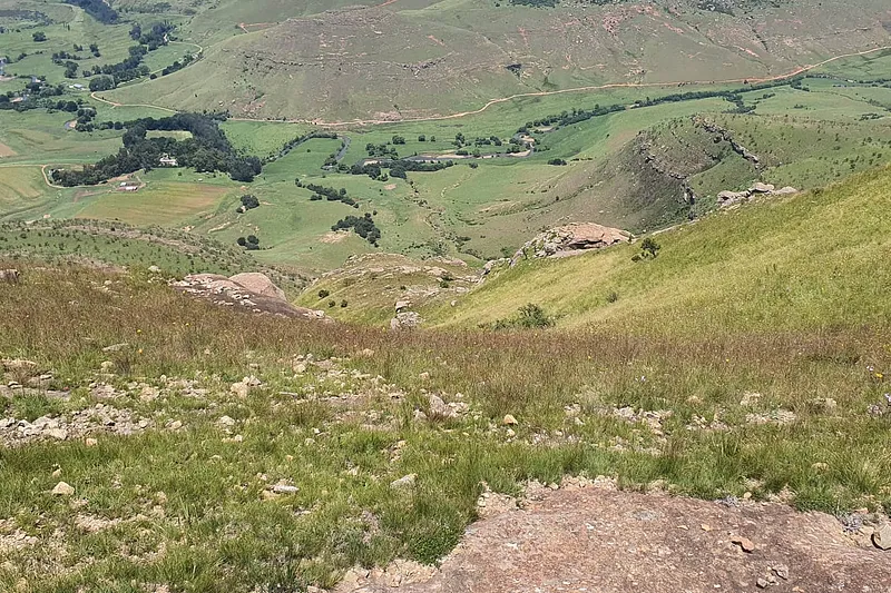 image 17