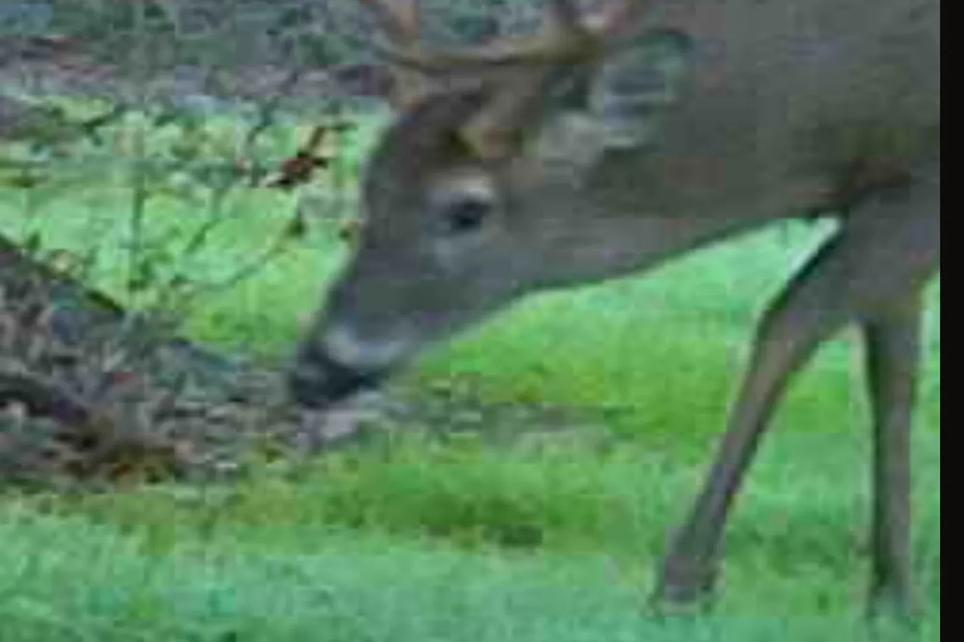 image four