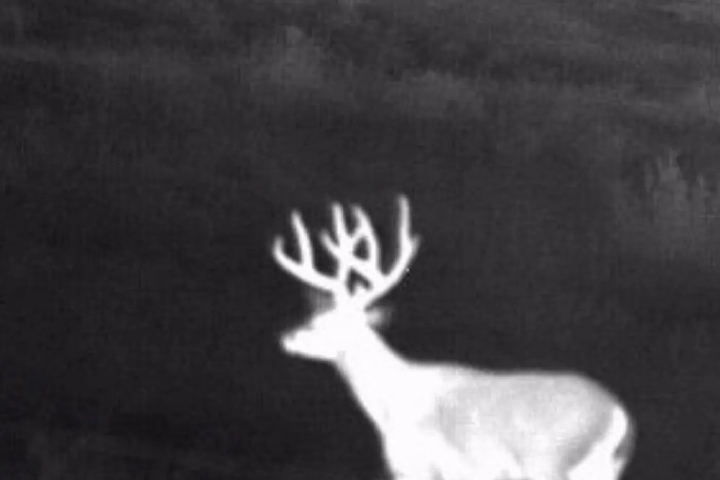 image four