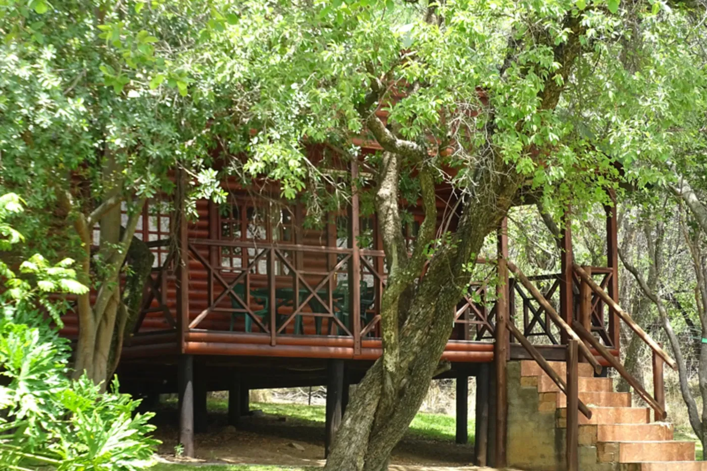 image four