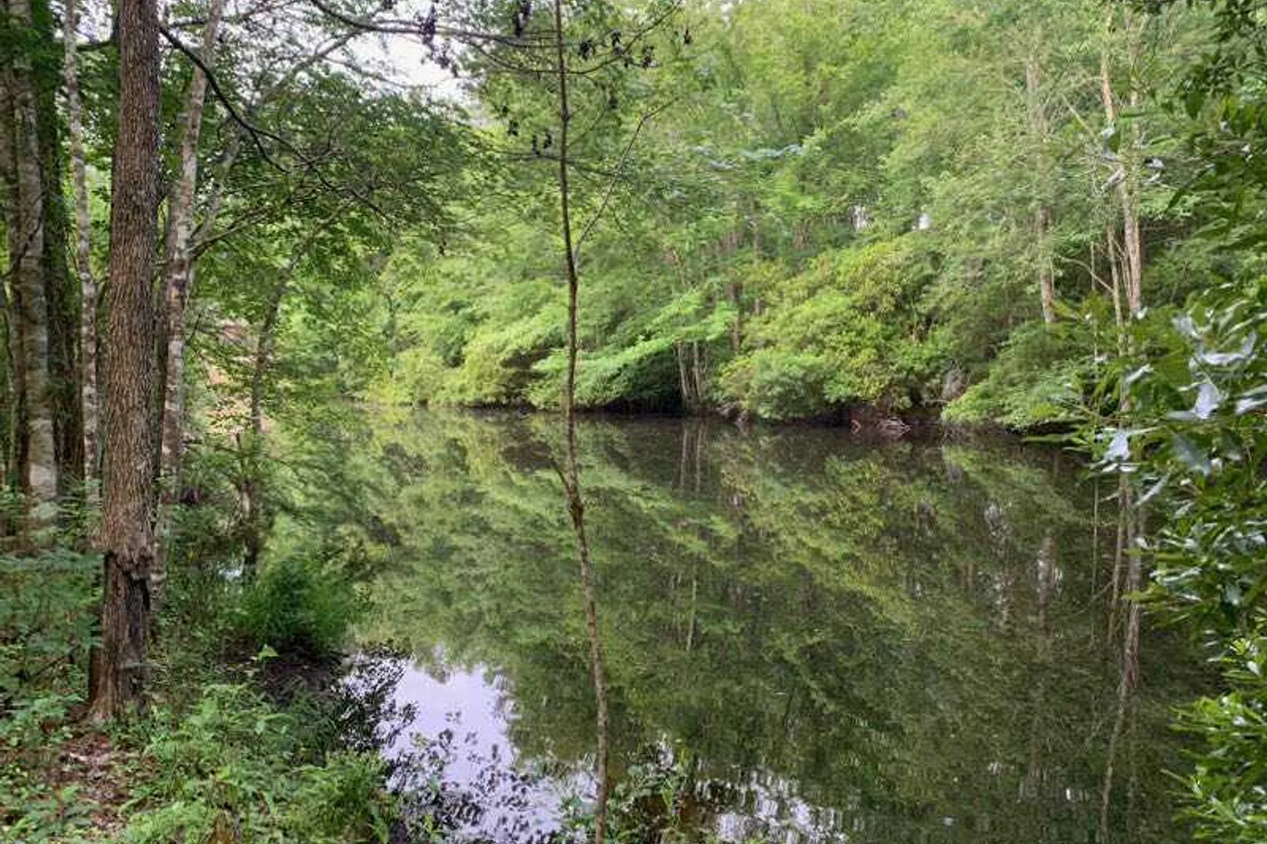 image two
