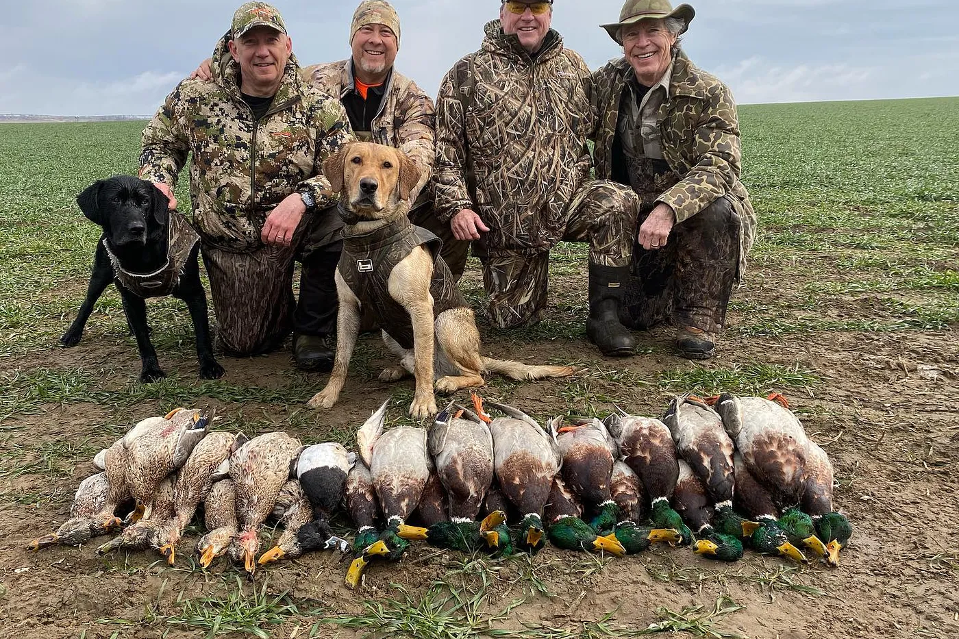 image four